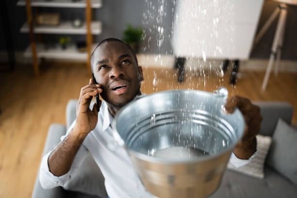 Best Basement water damage restoration  in Las Animas, CO
