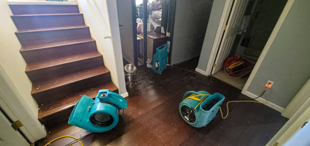 Best Water damage restoration specialists  in Las Animas, CO
