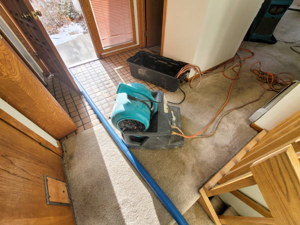 Water damage restoration experts in CO