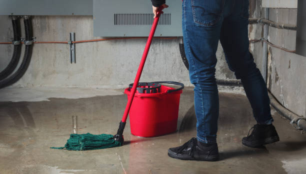 Best Commercial water damage restoration  in Las Animas, CO