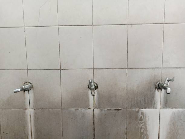 Best Fire Damage Restoration  in Las Animas, CO