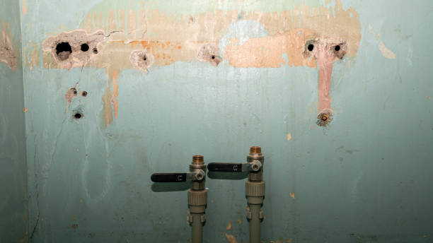 Best Flood damage cleanup  in Las Animas, CO